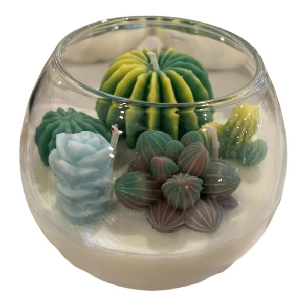 Succulent Soy Candle in Glass Bowl (S)