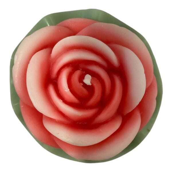 Blooming Rose Pot Candle - Image 2