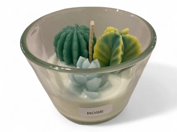 Cactus Bliss Candle