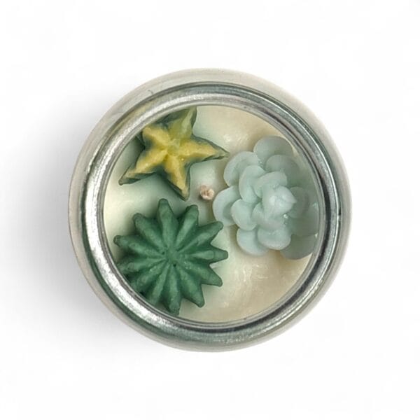 Cactus Garden Jar Candle - Image 3