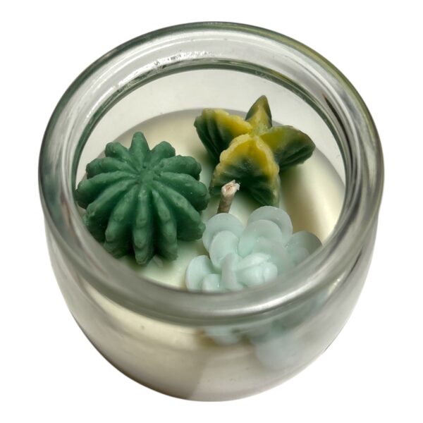 Cactus Garden Jar Candle - Image 2