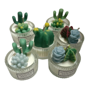 Cactus Tealight (7)